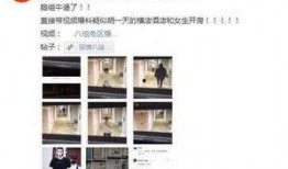 黑料互相爆料视频大全在线观看,互相爆料视频大全在线观看全解析