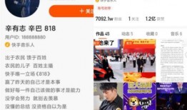 微博爆料辛巴家暴视频,微博爆料引发热议