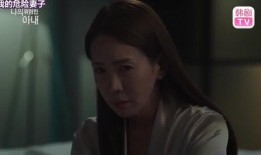 韩国我的妻子在线观看,揭秘婚姻背后的秘密