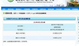 今日武汉最新爆料,揭秘城市动态与热点事件